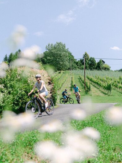 eBIKES & biken | © eBIKES & biken