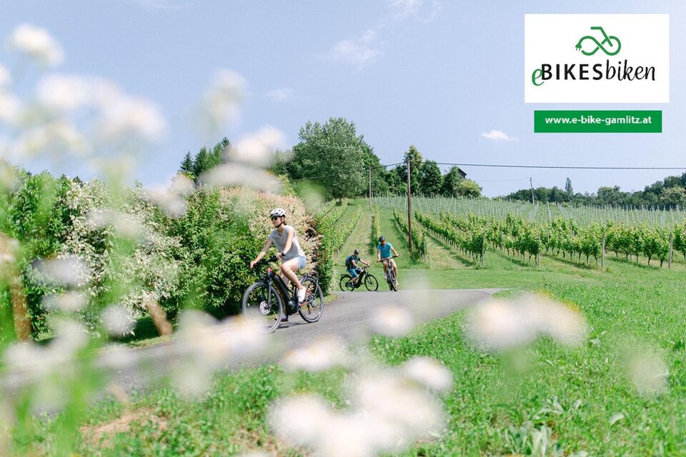 eBIKES & biken - Impression #1 | © eBIKES & biken