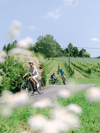 eBIKES & biken_ | © eBIKES & biken | © eBIKES & biken