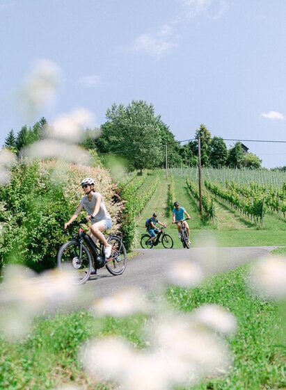 eBIKES & biken_ | © eBIKES & biken