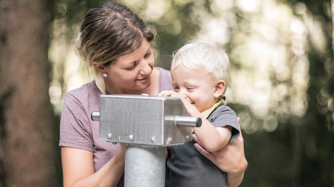 Um den Weidendom gibt es viel zu entdecken? | © Stefan Leitner
