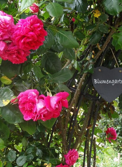 Erni´s Gartenvielfalt | © Ernestine Wagist