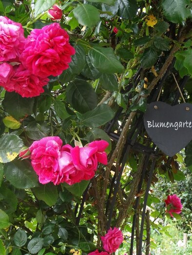 Erni´s Gartenvielfalt | © Ernestine Wagist