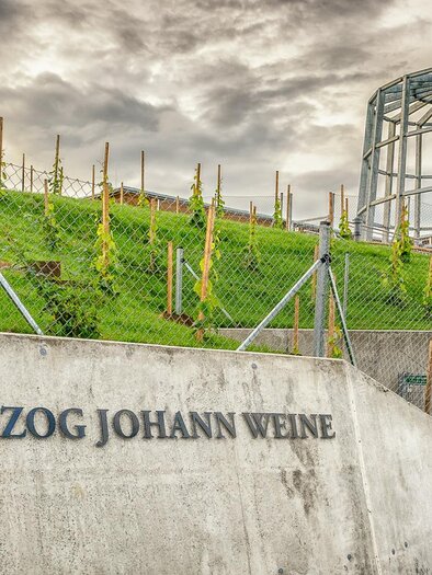 Erzherzog Johann Weine in Ehrenhausen | © Erzherzog Johann Weine