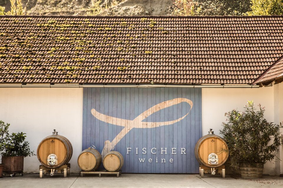 Fischer wine n St. Anna/A. - Impression #1 | © Fischerweine