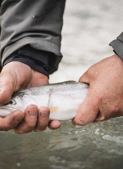 Fischen im Gesäuse | © Stefan Leitner | © Stefan Leitner