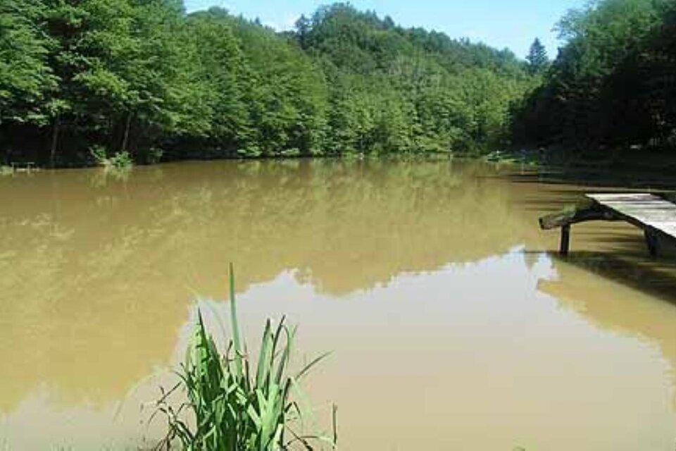 Fischerparadies Kleiner Hechtteich Eibiswald - Impression #1 | © Fischerparadies Kleiner Hechtteich Eibiswald