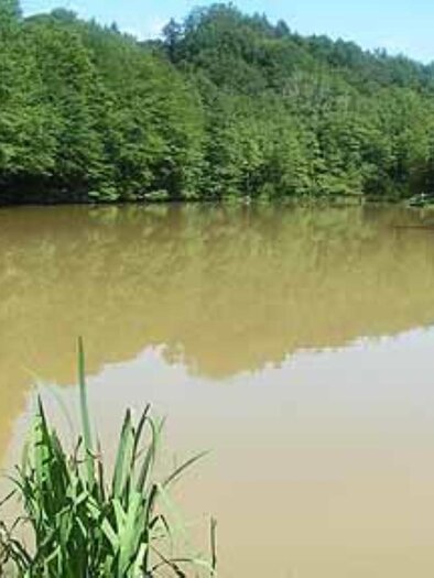 Fischerparadies Kleiner Hechtteich Eibiswald | © Fischerparadies Kleiner Hechtteich Eibiswald