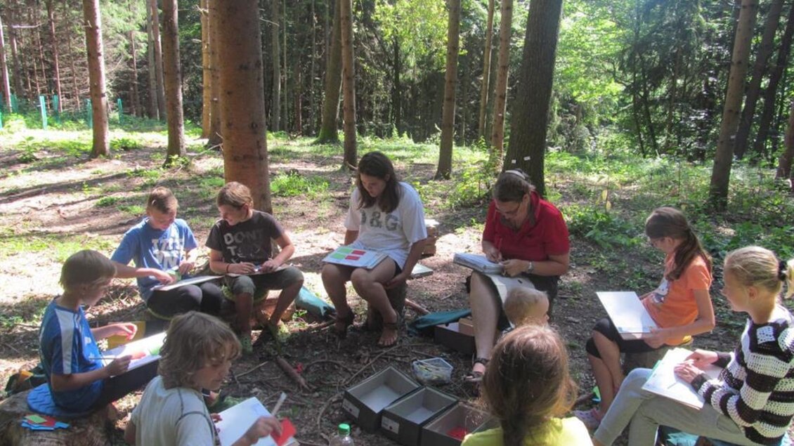 Flamberger Hof Erlebnis im Wald | © Flambergerhof