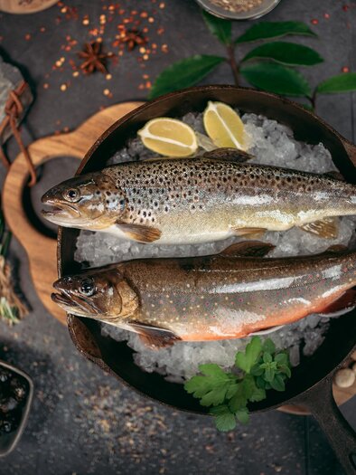 Saibling und Forelle | © KarlSteinegger