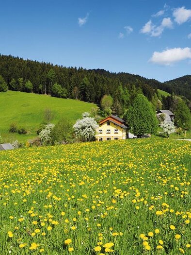 Gasthaus-Jägerwirt-Graden_Panorama | © Familie Wipfler
