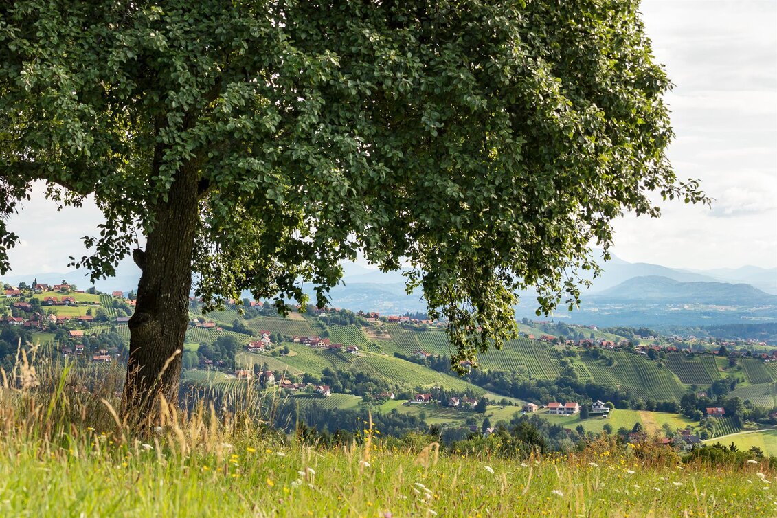 Hochgrail 9 Plätze, 9 Schätze | © ORF Schoettl (4)
