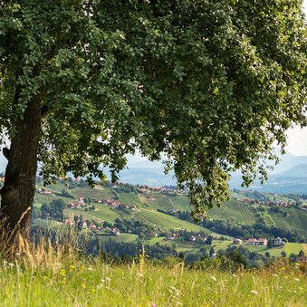 Hochgrail 9 Plätze, 9 Schätze | © ORF Schoettl (4)