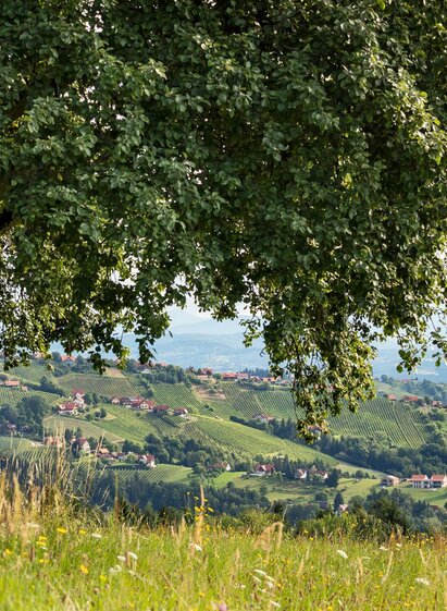 Hochgrail 9 Plätze, 9 Schätze | © ORF Schoettl (4) | © ORF Schoettl (4)