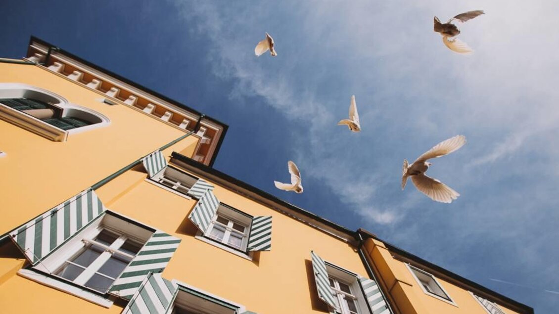 Georgi Schloss Hochzeitslocation