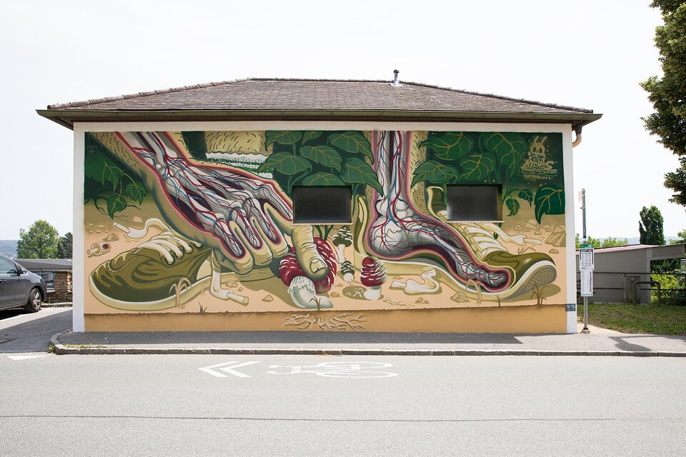 hARTberg walk - Amanita Muscaria - Impression #1 | © Tourismusverband Oststeiermark