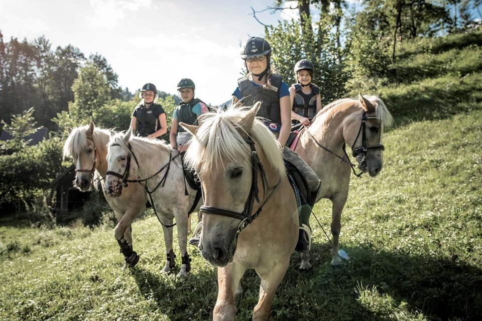 Haflinger farm - Impression #1 | © Stefan Leitner