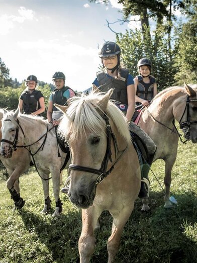 Reiten am Haflingerhof | © Stefan Leitner | © Stefan Leitner