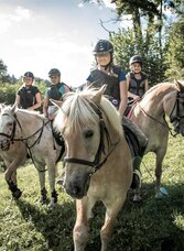 Reiten am Haflingerhof | © Stefan Leitner | © Stefan Leitner