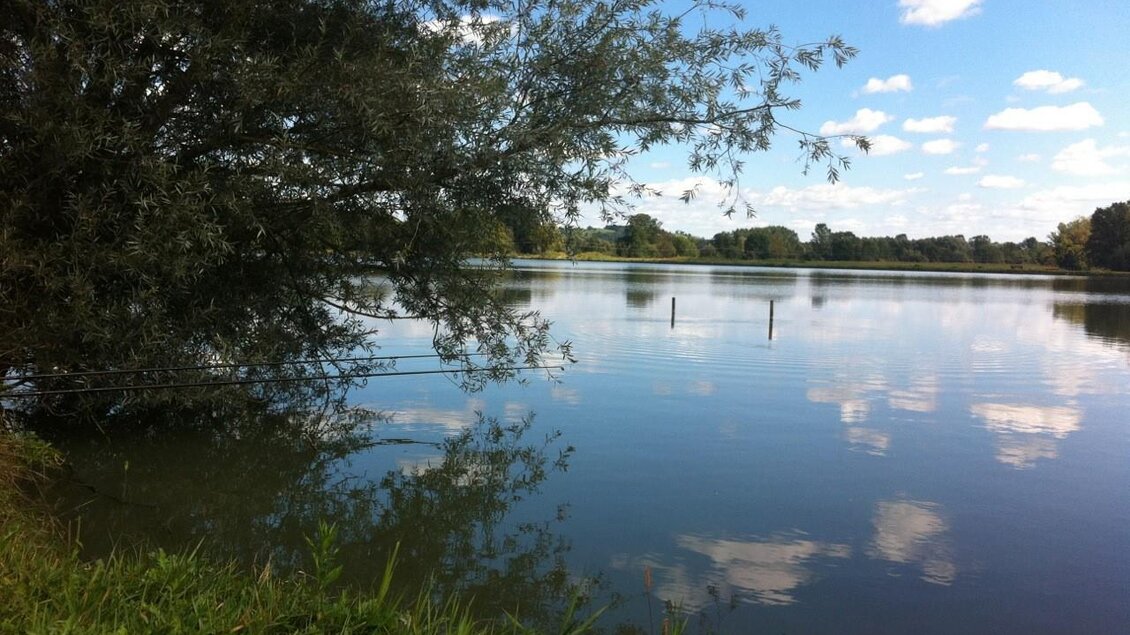 Hainfelderteich Anglerbetrieb | © Hainfelderteich Anglerbetrieb