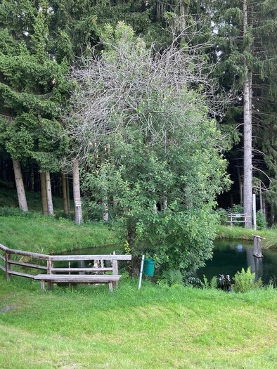 Osterwitz Pfarrbründl | © Elke Kleindinst