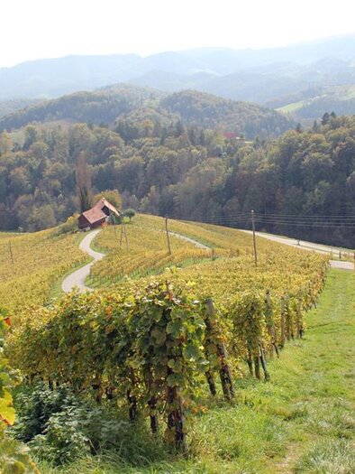 Herzerlstraße | © Ulrike Elsneg