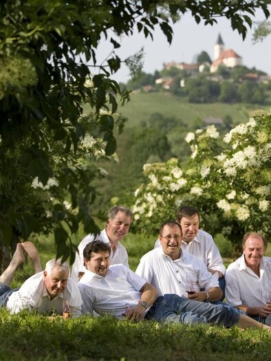 Holler Vulkan | © August Wohlkinger