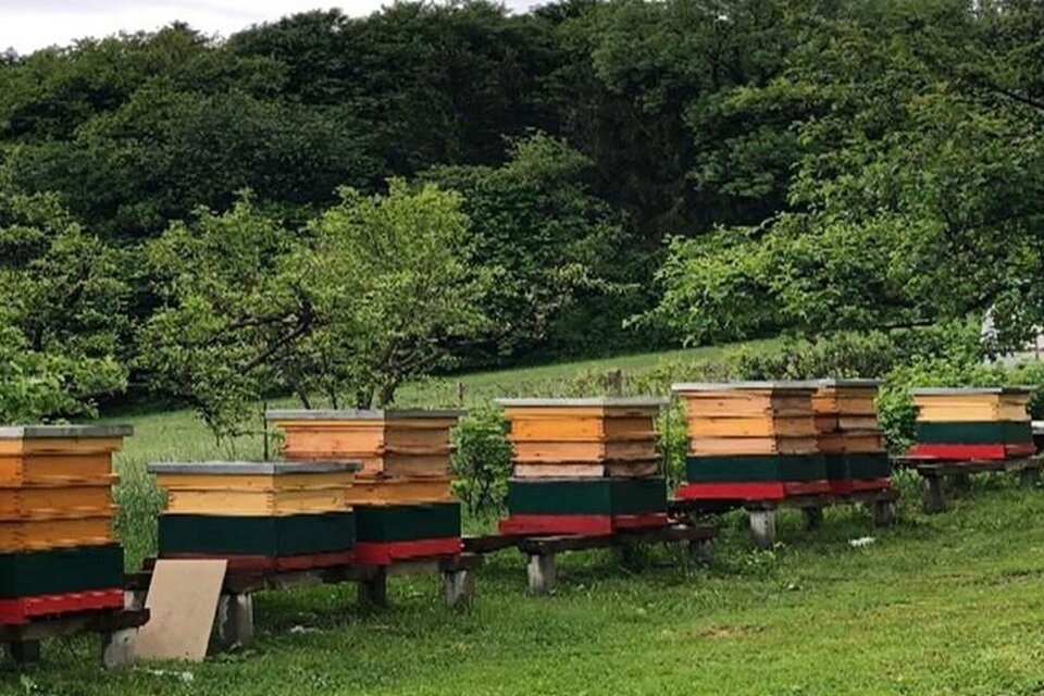 Imkerei Ing. Josef Niederl in Gnas - Impression #1 | © Familie Niederl