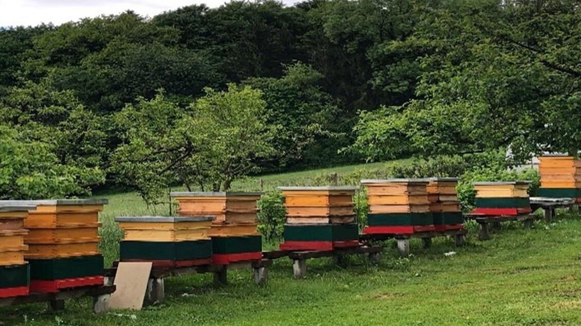 Bienenstöcke | © Familie Niederl