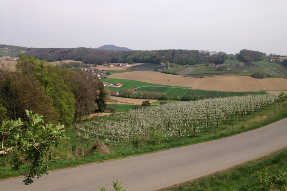 Imkerei Ulz in Gnas - Impression #1 | © Obstbau Haas