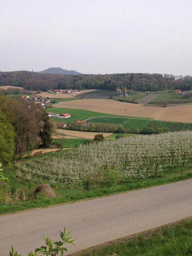 Poppendorf | © Obstbau Haas
