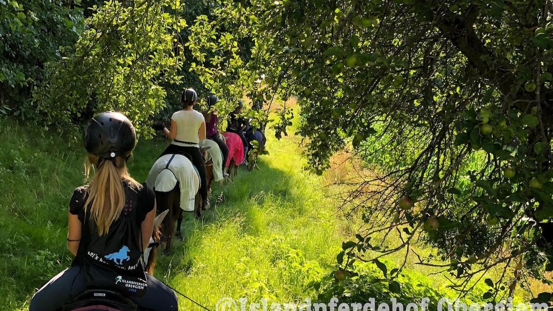 Islandpferdehof Obergiem | © Islandpferdehof Obergiem