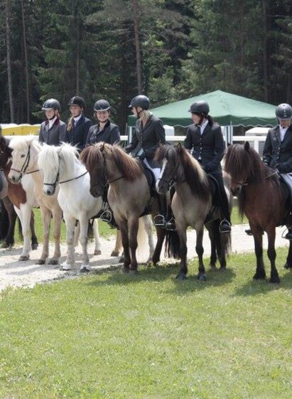 Islandpferdehof_Wenzel_Gruppe | © keine Kenntnis