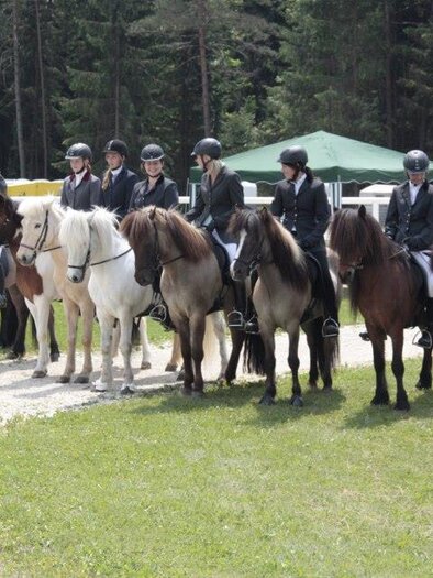 Islandpferdehof_Wenzel_Gruppe | © keine Kenntnis