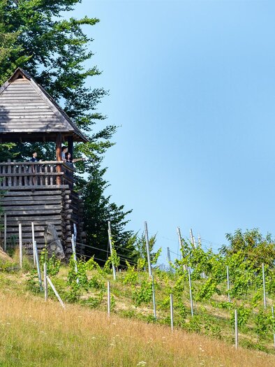 Keltischer Wehrturm | © Peter Schimpel