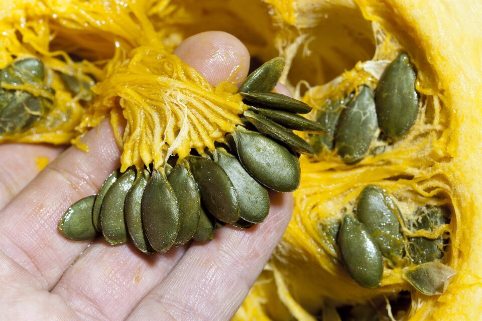 Kernöl Mandl - Impression #1 | © Schilcherland Spezialitäten