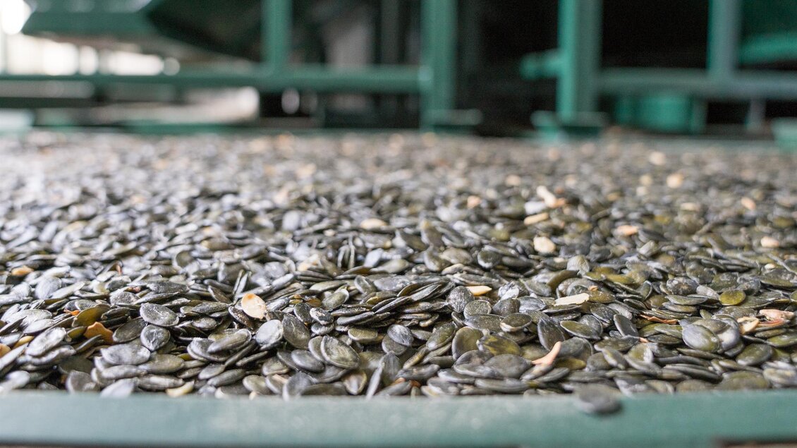 Kürbiskerne | © Michaela Lorber