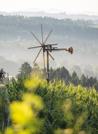 Klapotetz Hochgrail Weingärten | © Velontour - Schilcherland Steiermark