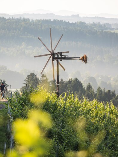 Klapotetz Hochgrail Weingärten | © Velontour - Schilcherland Steiermark