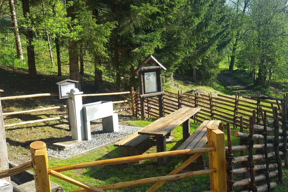 Kneipp- und Vogellehrpfad Aflenz - Impression #1