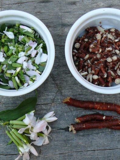 Leben mit Kräutern | © Leben mit Kräutern