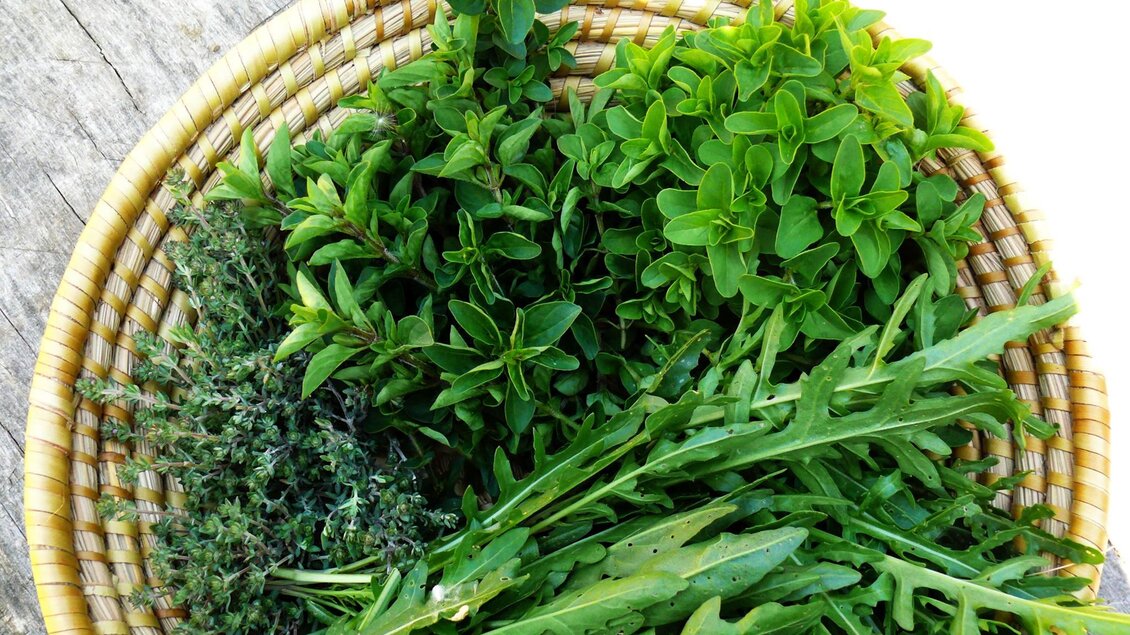 Leben mit Kräutern | © Leben mit Kräutern