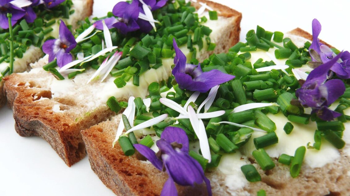 Leben mit Kräutern | © Leben mit Kräutern