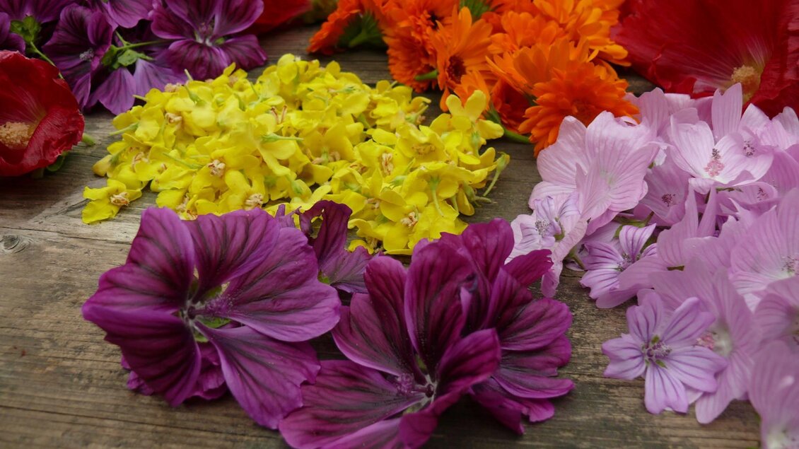 Leben mit Kräutern | © Leben mit Kräutern