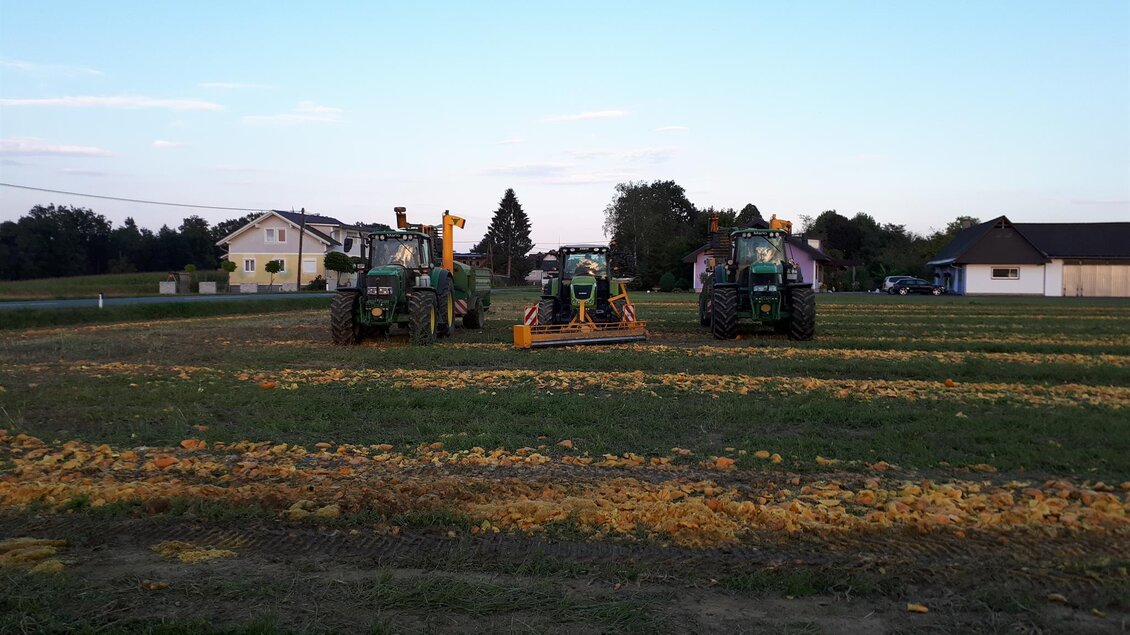 Kürbisfeld Familie Bauer | © Kürbisbauer