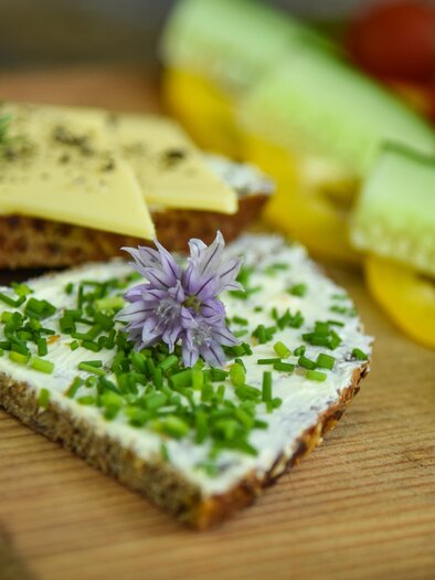 Naturschätze, Jause | © TVB Ausseerland - Salzkammergut_Jacqueline Korber