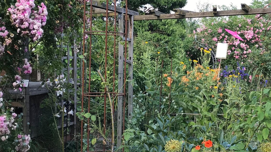 Dicht bepflanzter KunstGarten in Graz mit Blumen, Pergola und Kunstobjekten | © kunstGarten