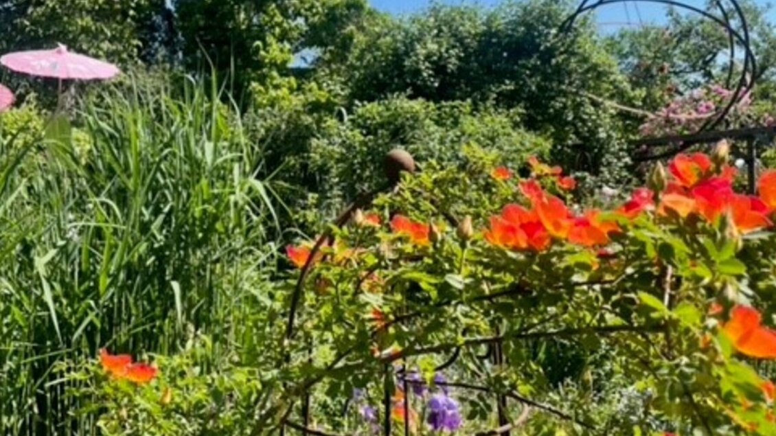 Orangene Blüten, hohe Gräser und Kunstobjekte im sommerlichen kunstGarten Graz | © kunstGarten