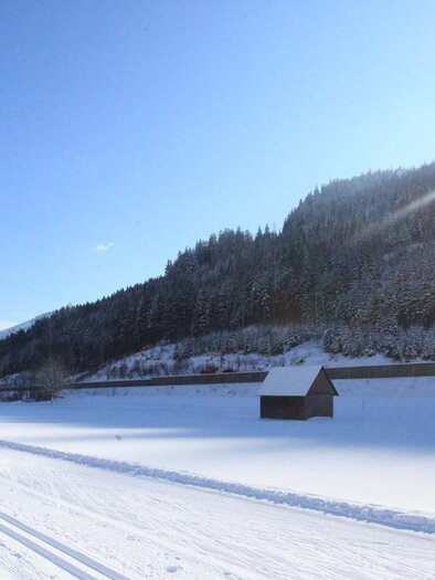 Loipe Wald am Schoberpass | © TV Erzberg Leoben