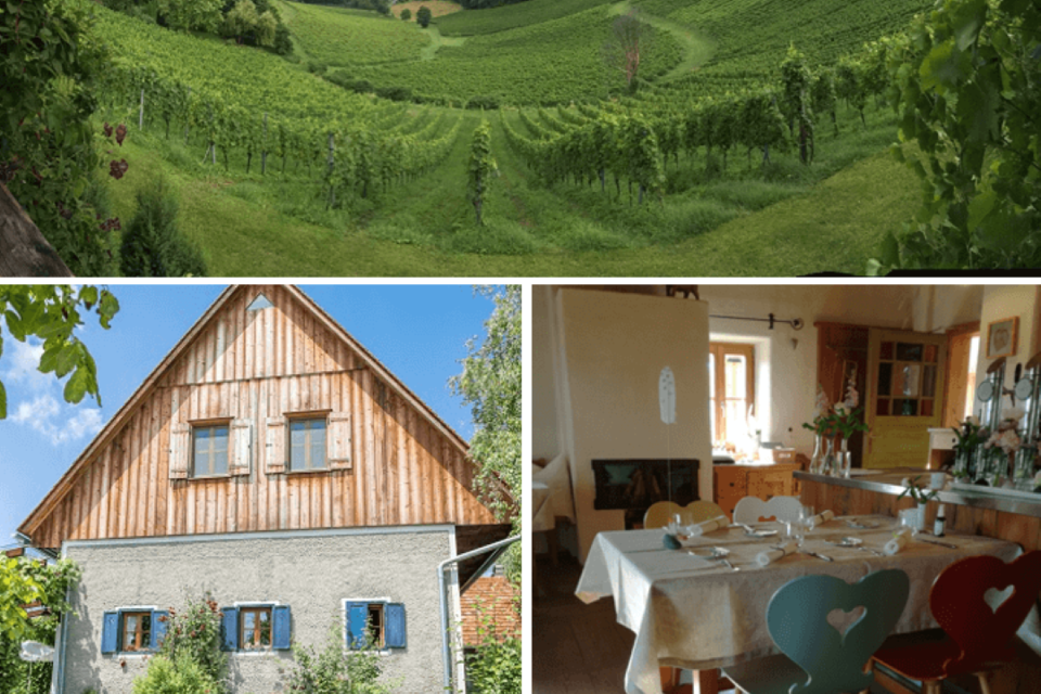 LILLI & JOJO - Impression #1 | © Lilli & Jojo